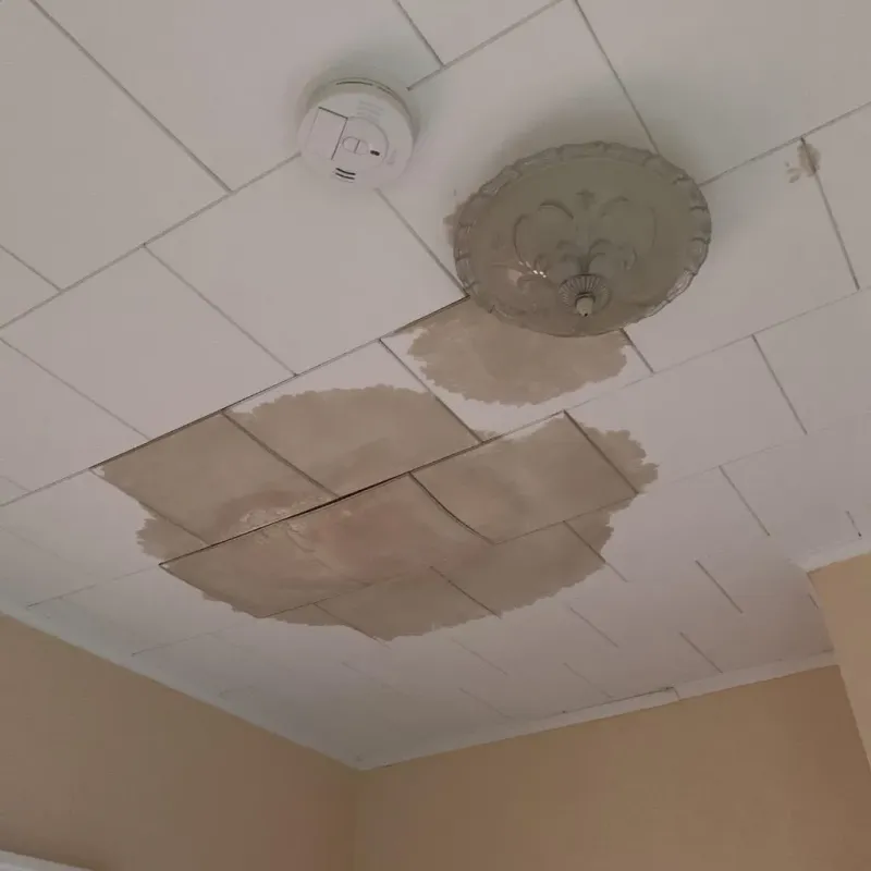 Ceiling Water Damage Repair in Denver, NC